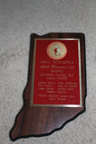2000-01 Indiana High School Lawrence Central Gymnastics Runner Up Plaque