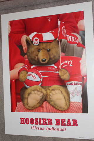 1987 Indiana University Hoosier Bear Full Sized Poster